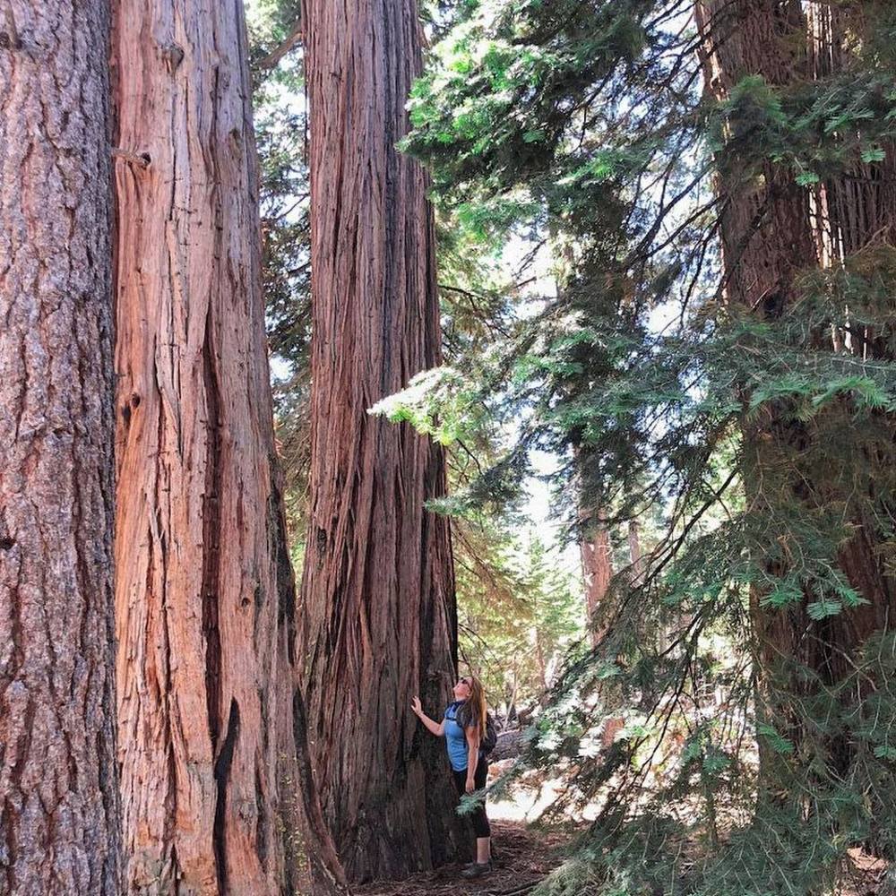 Meet your Posher, Katherine